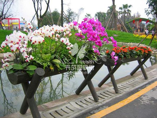 花卉绿植物租赁组景